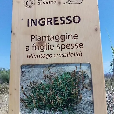 Sapore Di Mare * Vasto